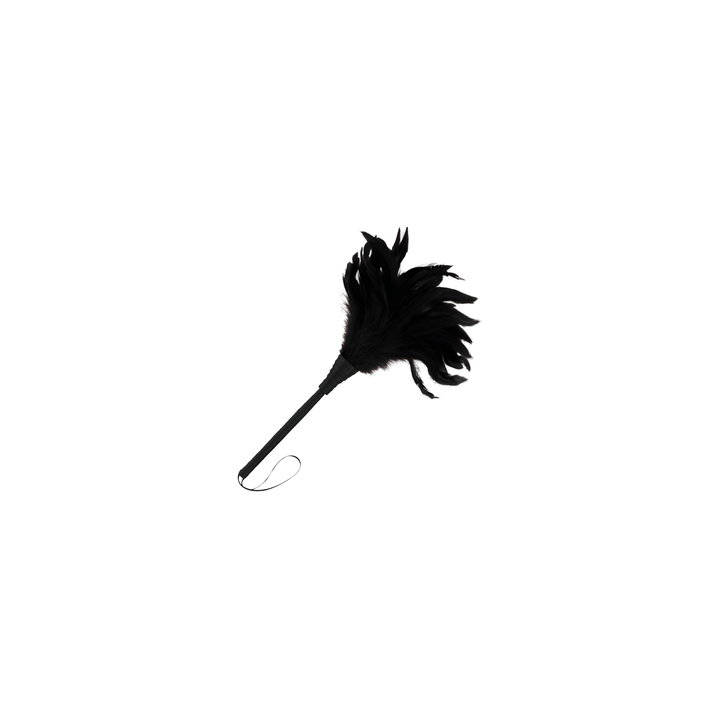 DARKNESS BLACK FEATHER PLUMA