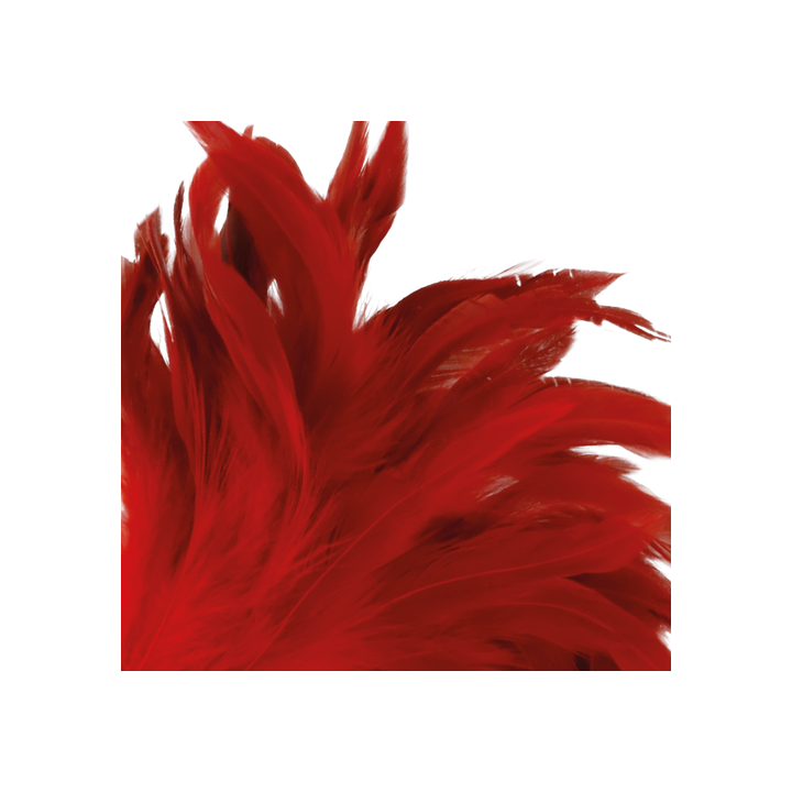 DARKNESS FEATHER RED PLUMA ROJA PLUMERO 24CM.
