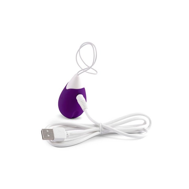 INTENSE JAN VIBRATING EGG REMOTE CONTROL HUEVO VIBRADOR USB
