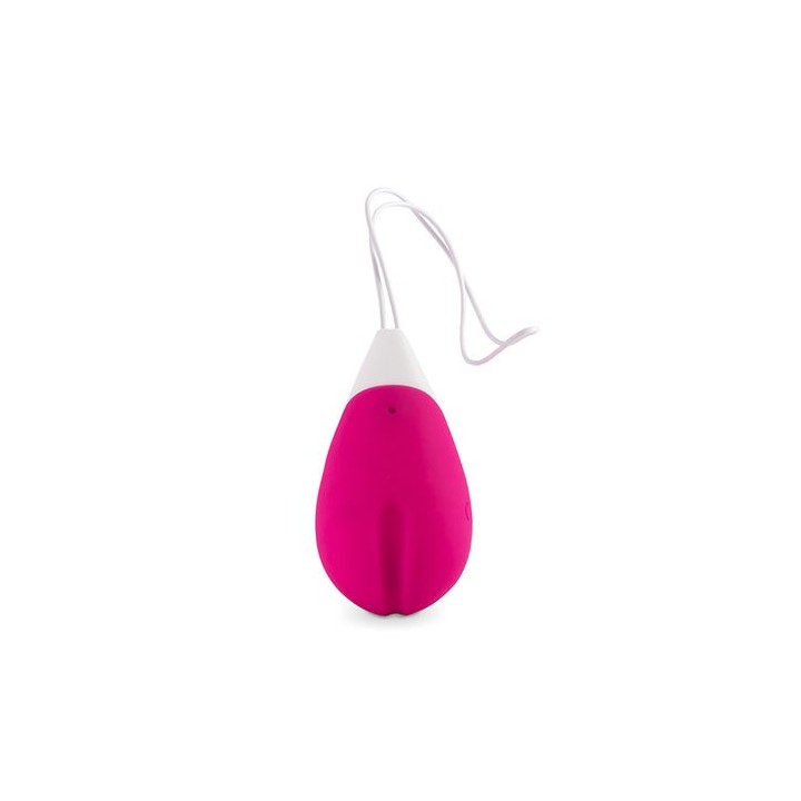 INTENSE JAN VIBRATING EGG REMOTE CONTROL HUEVO VIBRADOR USB